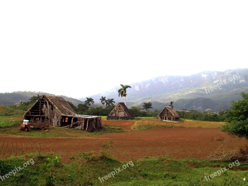 Cottages Red Earth Tobacco Plantation Cuba Free Photos