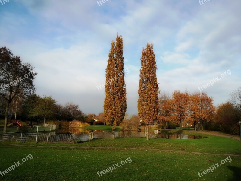 Germany Park Pond Water Trees