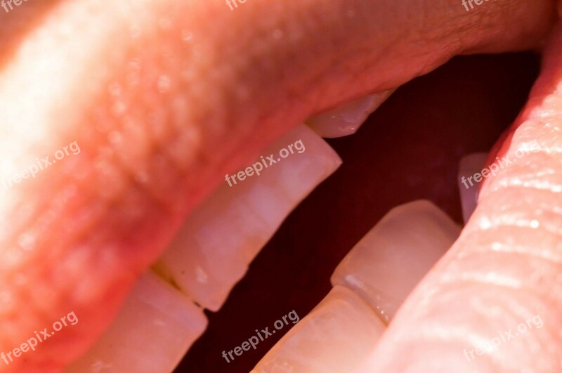 Incisors Tooth Mouth Lips Free Photos