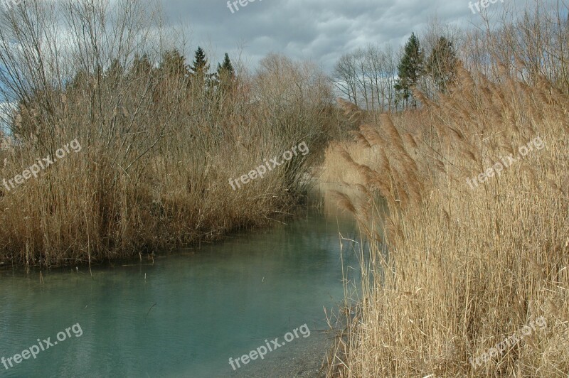 Reed Stretch Water Badesee Autumn