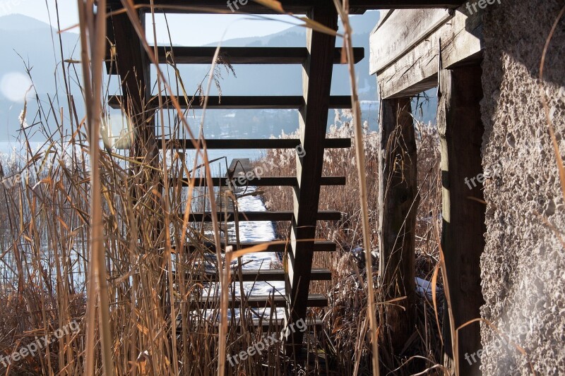 Wood Stairs Web Boardwalk Lake Bank