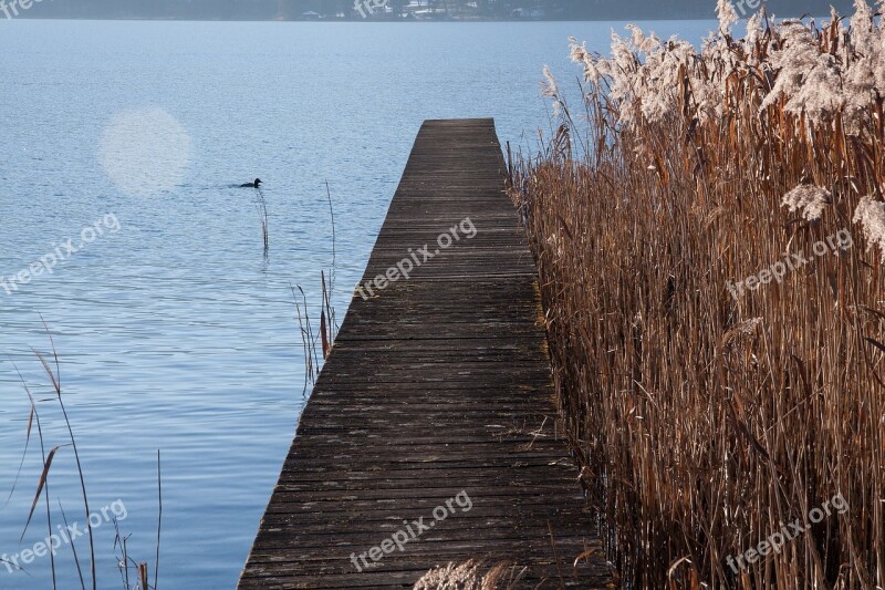 Web Lake Bank Water Blue