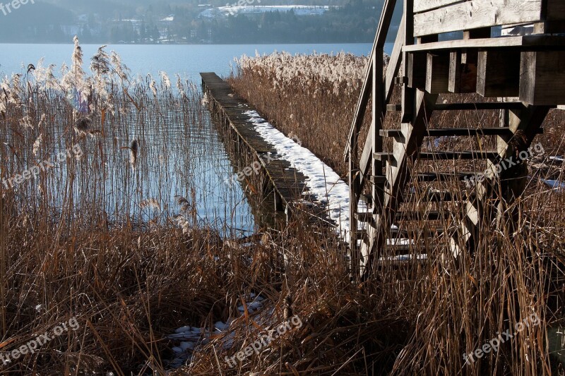 Wood Stairs Web Boardwalk Lake Bank