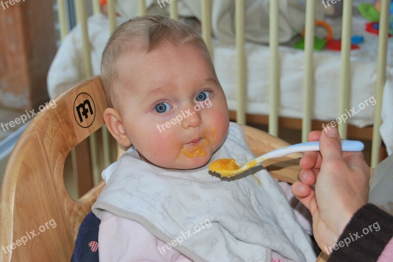 Baby People Food Child Vegetable Pap