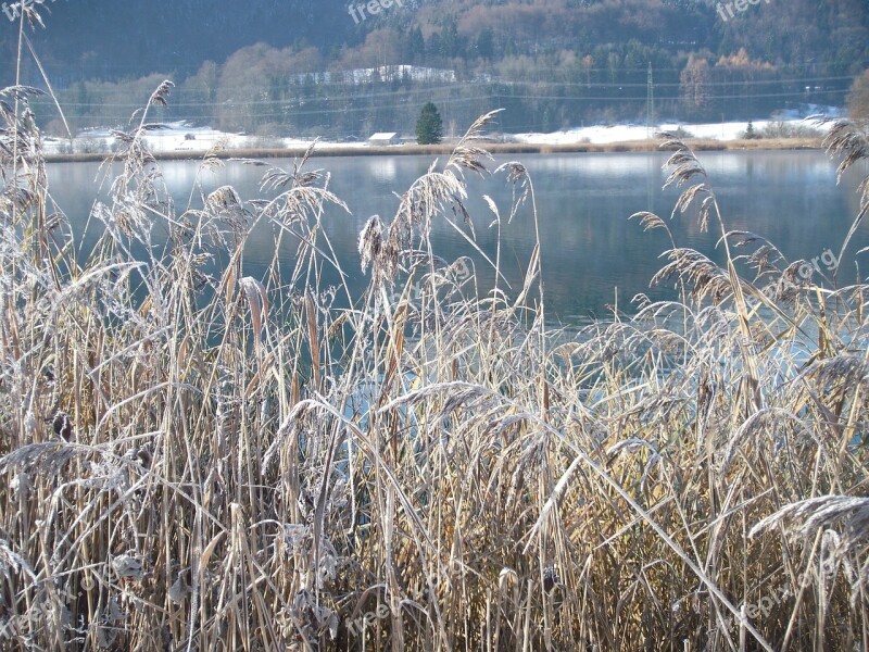 Winter Lake Wintry Frozen Nature Frost