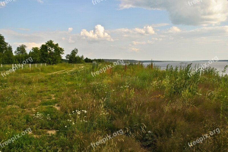 Field Meadow Nature Beautiful Blossom