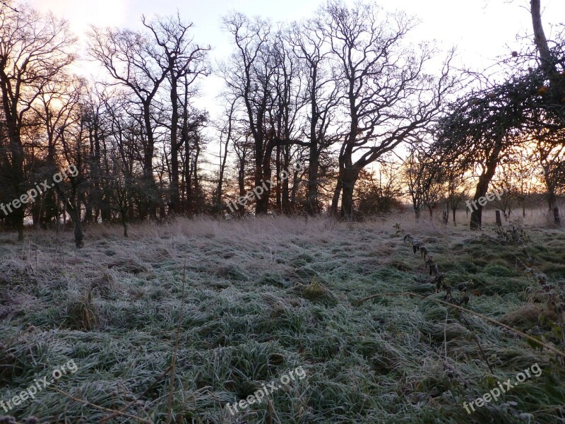 Sunrise Morning Sun Sun Winter Hoarfrost