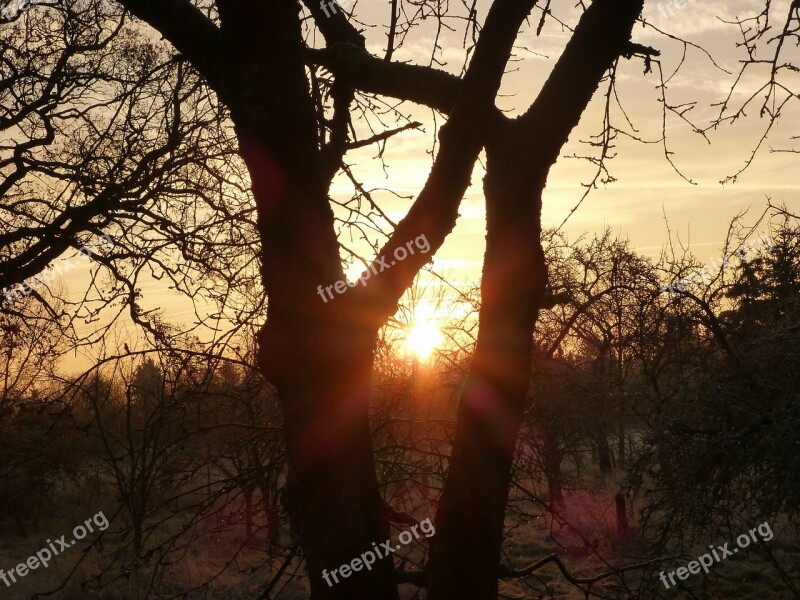 Sunrise Winter Idyll Morgenrot Skies Winter