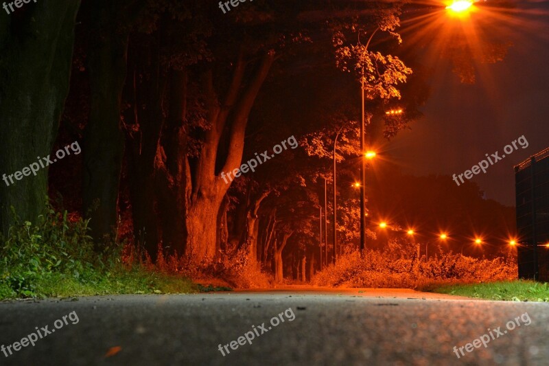 Night Away Avenue Long Exposure Nature