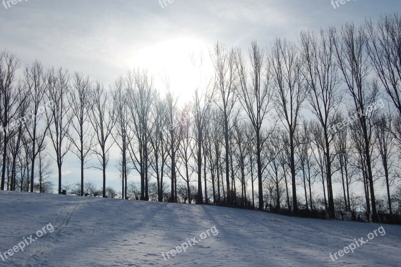 Winter Landscape Snow Nature Free Photos