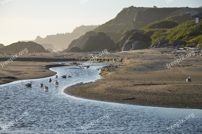 Tide Low Tide Ebb Ebb Tide Stream