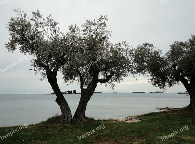 Pula Croatia Beach Mood Sea