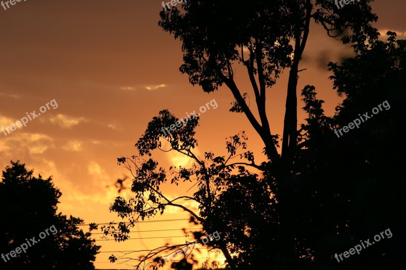 Dusk Dawn Tree Silhouette Sunset