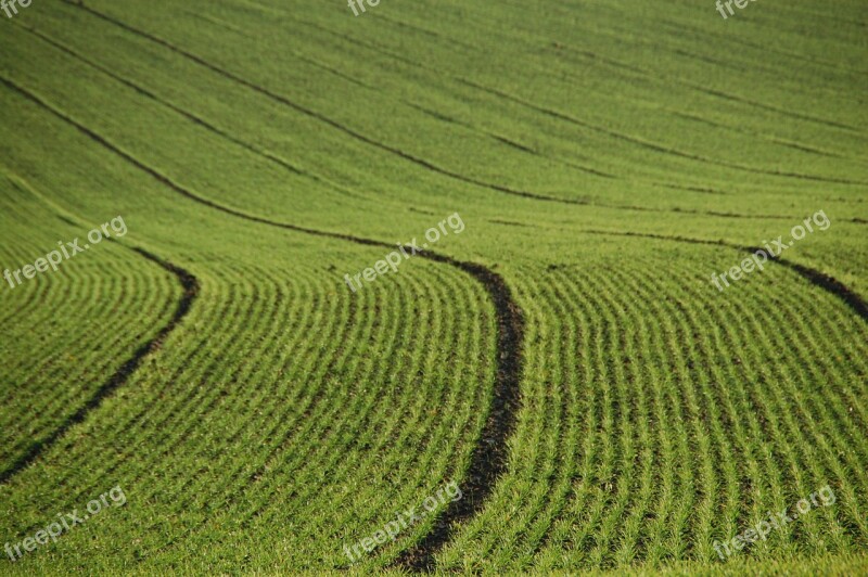 Field Agriculture Lines Furrows Free Photos