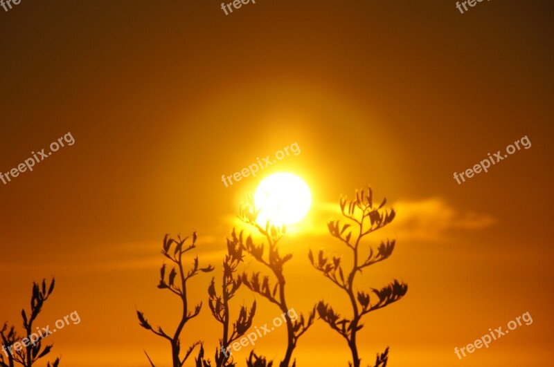 Sunrise Sun Grass Aperture Orange