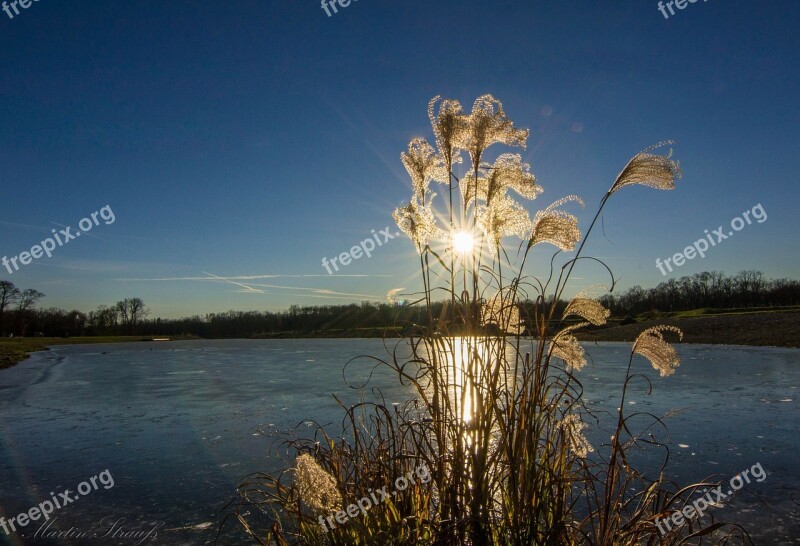 Sun Water Bank Reed Waters