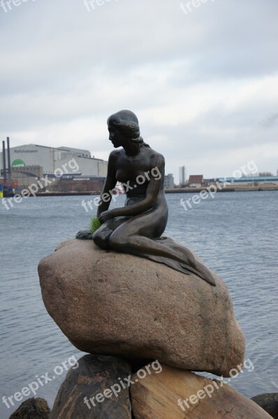 Little Mermaid Denmark Sea Free Photos