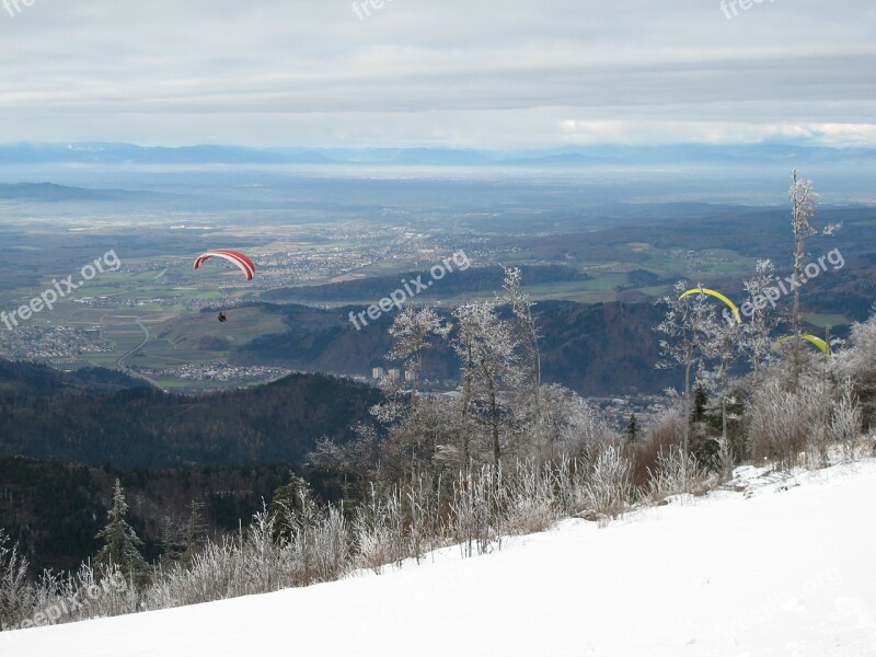 Paraglider Paragliding Air Sports Flying Sky