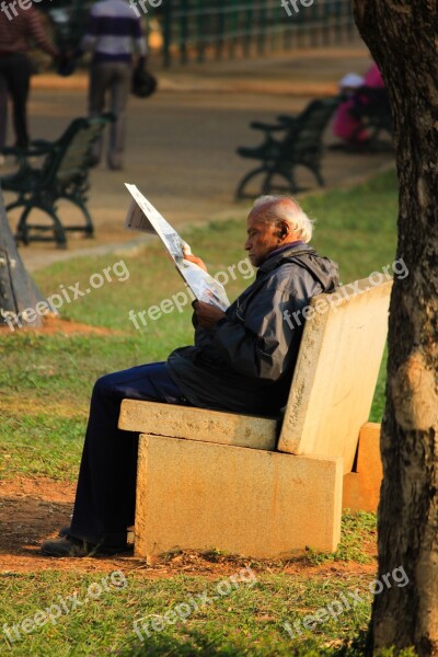 Aged Person Reading Park Bench Person Aged