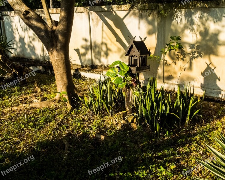 Spirit House Morning Sun Tree Free Photos