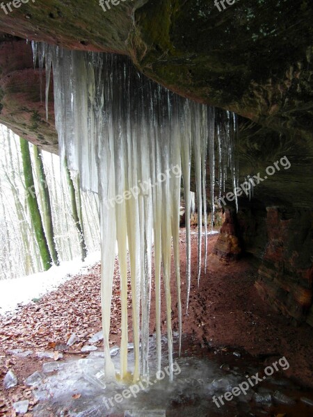 Icicle Winter Cold Ice Icy