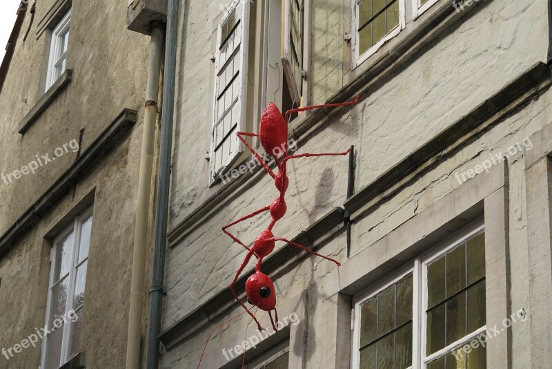 Bremen Schnoor Ant Red House Decoration