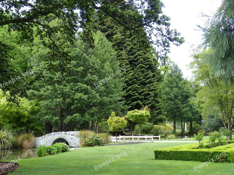 Park Tree Rush Meadow Conifer