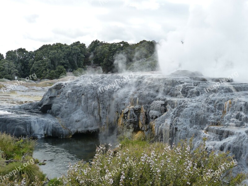 Geyser Fountain Hot New Zealand Nature