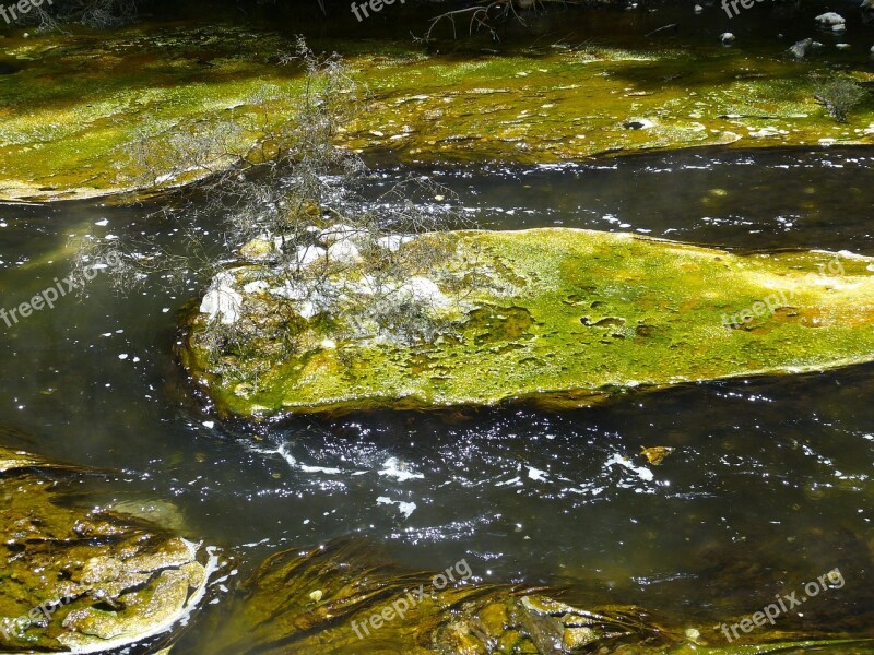 Water Spa Thermal Water New Zealand Nature