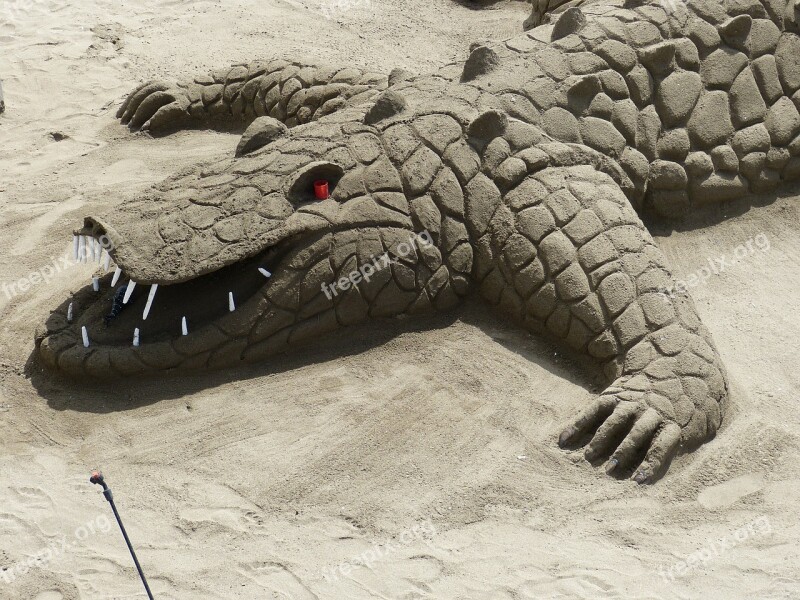 Sand Sculpture Alligator Crocodile Sand Vacations