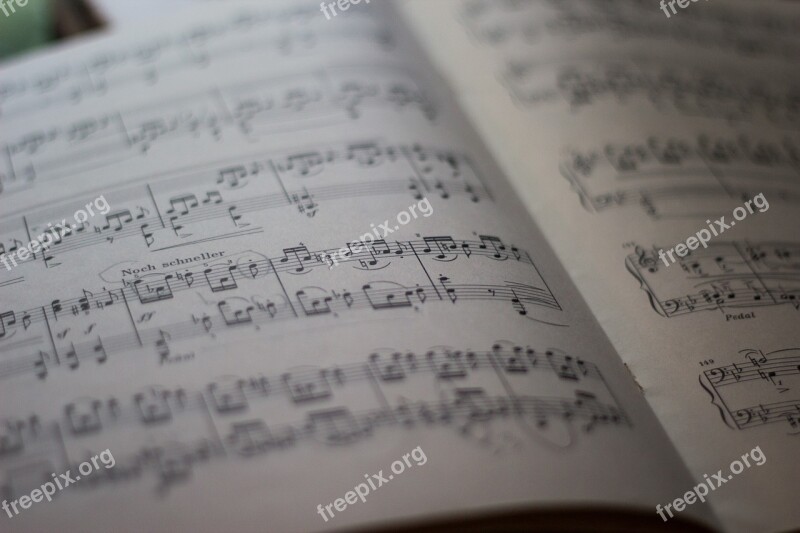 Music Nuts Music Notes Sheet Music Free Photos