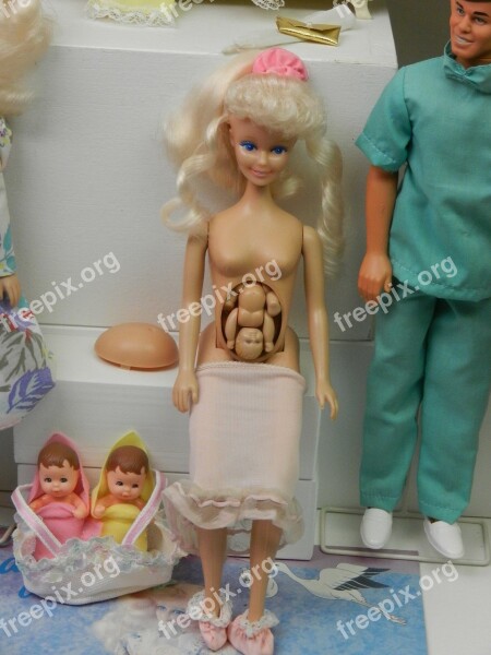 Barbie Pregnancy Doll Education Child