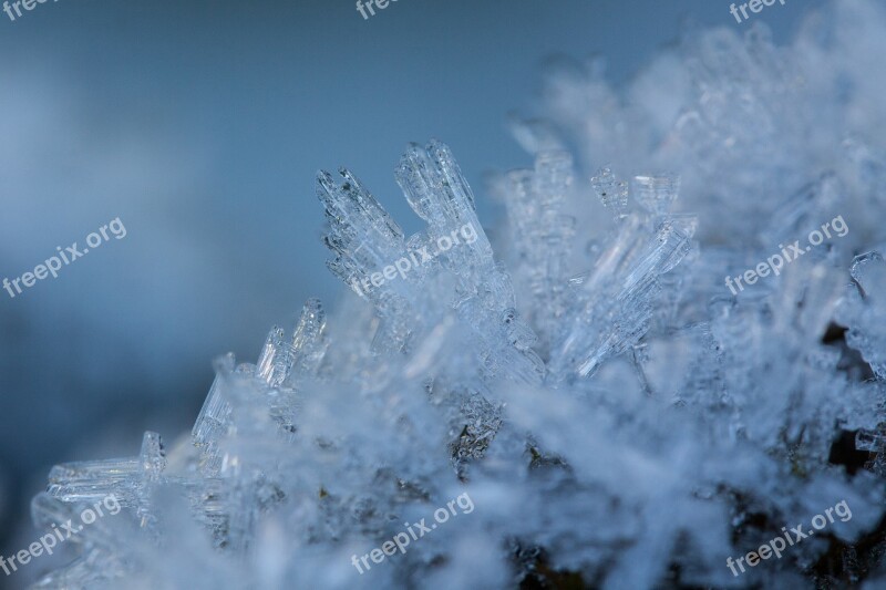 Hoarfrost Winter Snow Cold Transition