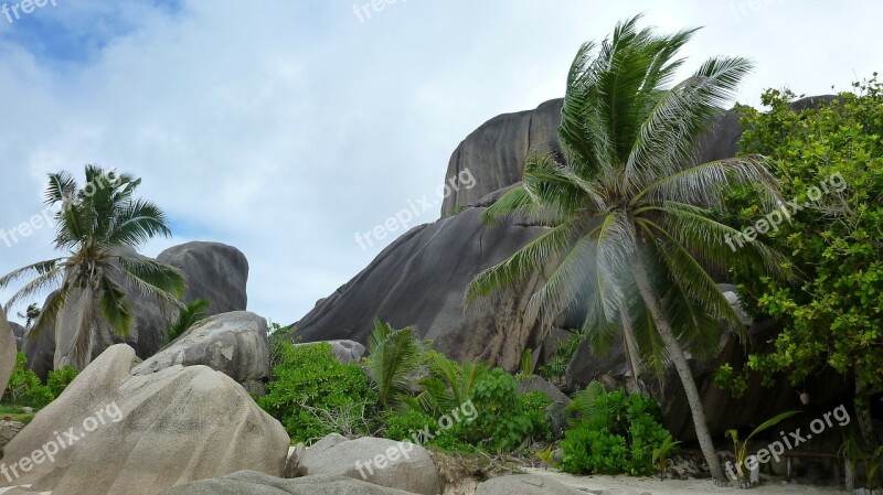 Seychelles Palm Trees Indian Ocean Beautiful Beach Beach