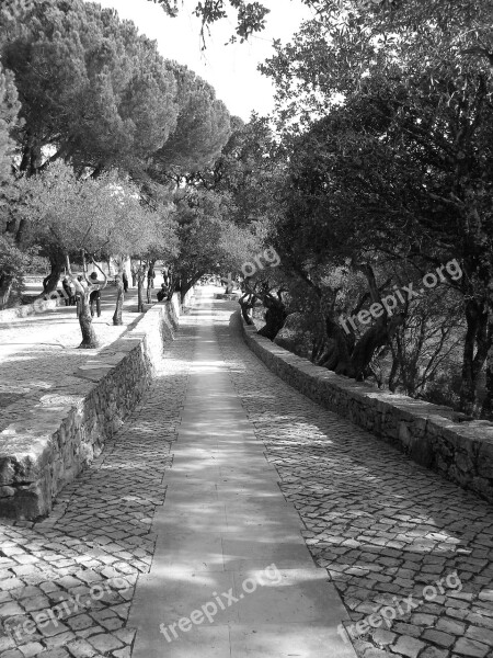 Portugal Black And White Garden Path Stonework