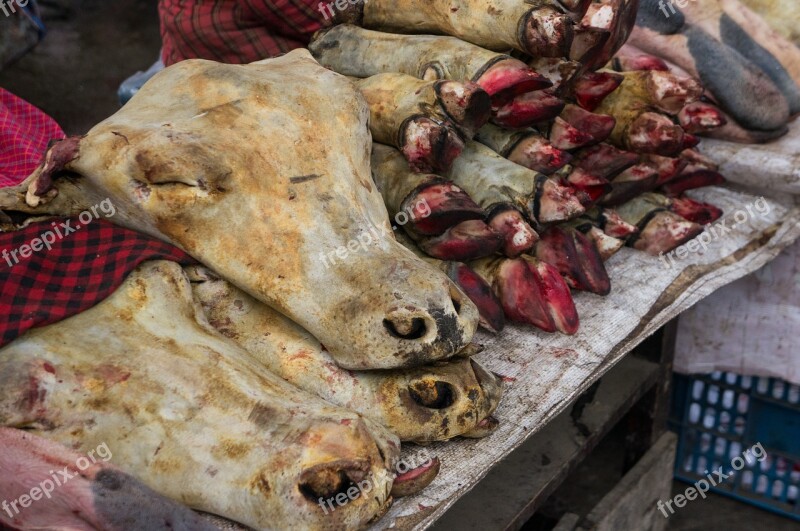 Southwest China Sichuan Province Market Free Photos