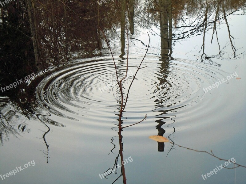 Drip Water Surface Tension Free Photos