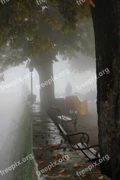 Groznjan Fog Tribulation Glimmer Of Hope Free Photos