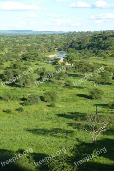 Africa Tanzania National Park Tarangire Trees