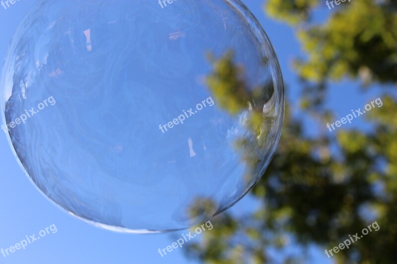 Bubble Bubbles Tree Sky Nature