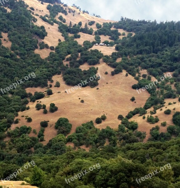 California Mountains Trees Scenic Northern California