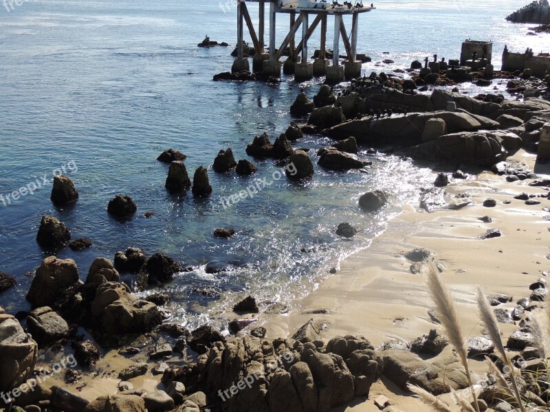 Beach Pacific Rocks Sand Monterey Bay