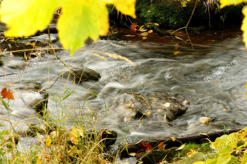 River Great Brook Nature Landscape Water