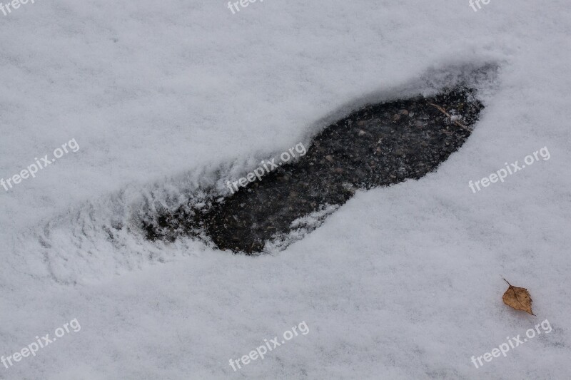 Snow New Zealand Winter White Black