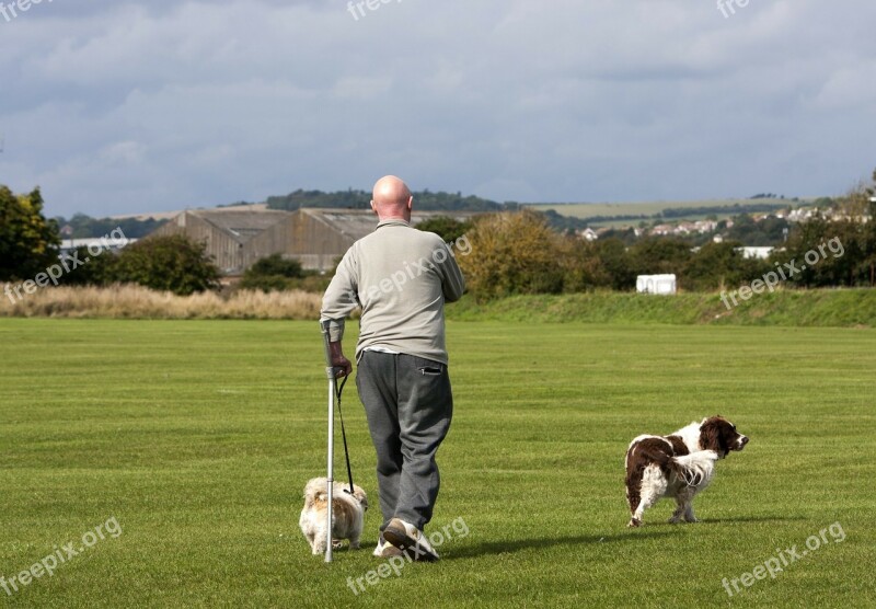 Dog Dogs Walker Man Person