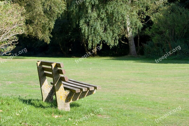 Bench Park Seat Wooden Grass