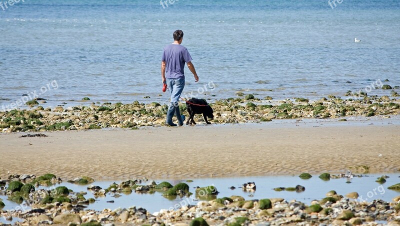 Man Dog Walking Beach Labrador