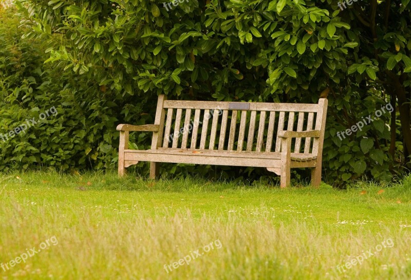 Bench Grass Green Wood Wooden