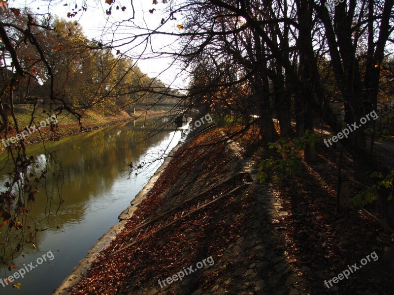 River Leaves Autumn Wood Bough