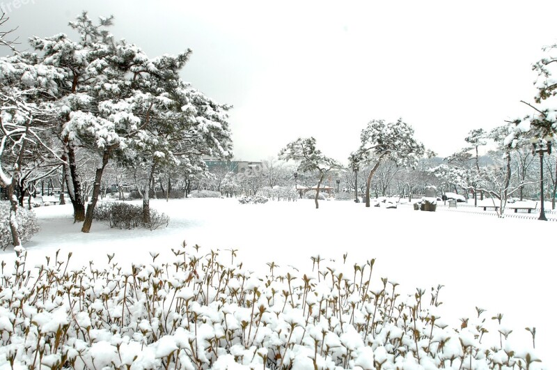 Hanam City Hanam City Hall Winter Landscapes Free Photos